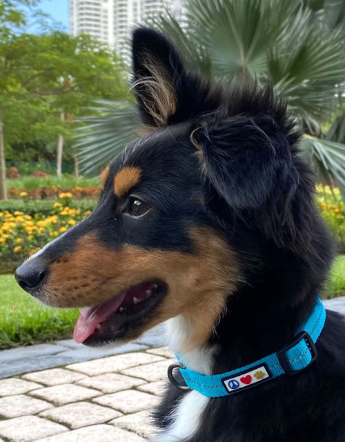 Load image into Gallery viewer, Multicolor Dog Collar Medium Green / White / Blue
