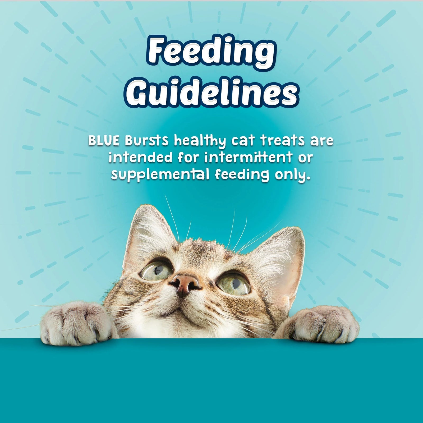 Bursts Crunchy & Creamy Dry Cat Treats, Great for Training, Seafood, 12-Oz. Tub